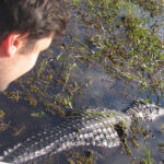 VIAJÁ EN TU AUTO A LOS ESTEROS DEL IBERÁ