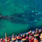 BUENOS AIRES, PUERTO MADRYN, GAIMAN, TREVELIN & EL BOLSÓN - 13 DAYS 12 NIGHTS