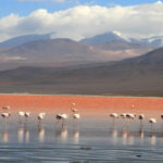 BOLIVIA COMPLETA - 13 DÍAS 12 NOCHES