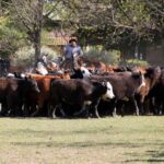 DÍA GAUCHO EN LA ESTANCIA EL OMBÚ - DÍA COMPLETO