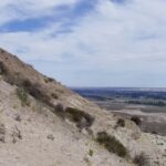 VALLE INFERIOR DEL RÍO CHUBUT - DÍA COMPLETO