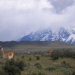 TORRES DEL PAINE EN CAMIÓN OVERLAND 4x4 - DÍA COMPLETO