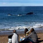 EL DORADILLO 4X4 ADVENTURE - HALF DAY