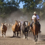 BUENOS AIRES - ESTANCIA & GAUCHO-STADT ARECO – GANZTAGESTOUR