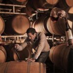 TOUR DE VINO LUXURY: EXPERIENCIA LUJÁN DE CUYO - DÍA COMPLETO