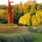 TIGRE: ISLA EL DESCANSO - DÍA COMPLETO