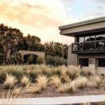 BODEGAS TOUR: SABORES DE MAIPÚ - DÍA COMPLETO