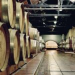 BODEGAS TOUR: VINO Y OLIVA - DÍA COMPLETO