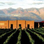 TOUR DE VINO LUXURY: EXPERIENCIA VALLE DE UCO - DÍA COMPLETO