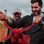 USHUAIA: EXPERIENCIA CENTOLLA + ALMUERZO GOURMET (PARA PASAJEROS DE CRUCEROS)