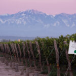 SALTA & MENDOZA EXTENSION - 7 DAYS & 6 NIGHTS