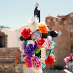 VOLÁ A SALTA Y RECORRÉ EL NOA EN AUTO DE ALQUILER