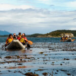 ISLA GABLE & PINGÜINERA CON CANOAS - DÍA COMPLETO