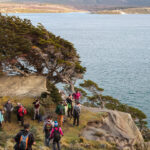 ISLA GABLE & PINGÜINERA CON ESTANCIA HARBERTON - DÍA COMPLETO