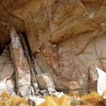 EL CALAFATE CITY TOUR & PUNTA WALICHU - MEDIO DÍA