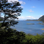 USHUAIA: PARQUE NACIONAL TIERRA DEL FUEGO CON ALMUERZO - MEDIO DÍA