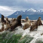 NAVEGACIÓN LOBOS MARINOS CON TREKKING EN YATE - MEDIO DÍA