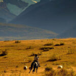 CABALGATA EN LA ESTANCIA NIBEPO AIKE - MEDIO DÍA