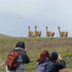ESTANCIA 25 DE MAYO: SAFARI FOTOGRÁFICO - MEDIO DÍA