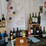 CLASE ONLINE SOBRE VINOS ARGENTINOS - MEDIO DÍA