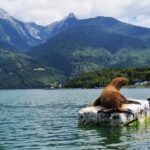 ESTUARIO DE RELONCAVI - DÍA COMPLETO