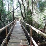 CITY TOUR SOBRE HISTORIA & NATURALEZA - MEDIO DÍA