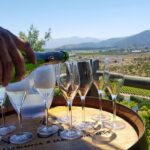 VALPARAÍSO & REGIÓN DE VINOS CASABLANCA desde Santiago - DÍA COMPLETO