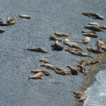 PUNTA LOMA CON ESTANCIA SAN GUILLERMO - DÍA COMPLETO - PRIVADO