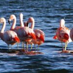 LAGUNA DEL TORO - DÍA COMPLETO