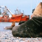 PUNTA TOMBO + VALLE INFERIOR DEL RÍO CHUBUT & RAWSON - DÍA COMPLETO