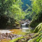 PARQUE NACIONAL CALILEGUA - DÍA COMPLETO