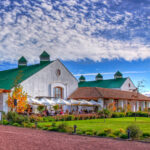 Día Completo en el Valle de Casablanca con Bodega Casas del Bosque