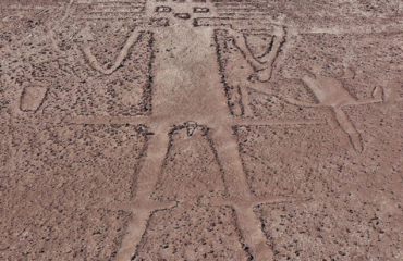 Gigante de Atacama (9)