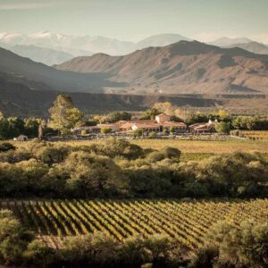 WINE ROUTE TO COLOMÉ WINERY - full-day