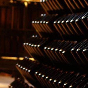 EXPERIENCIA VINOS ESPUMANTES CON ALMUERZO - DÍA COMPLETO