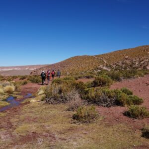 TREKKING HACIA MACHUCA & RÍO GRANDE - MEDIO DÍA