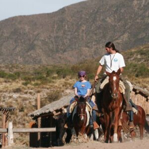 HORSEBACK RIDING: CRIOLLA WITH WINERIES - half-day