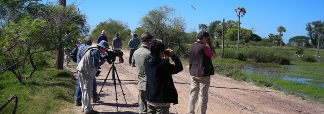 2827_2809_Birdwatching_2.jpg