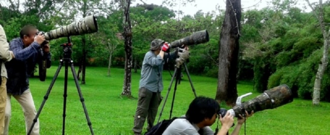 2828_Birdwatching_cortada.jpg