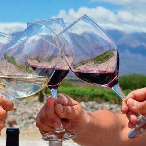 CAFAYATE: LA RUTA DEL VINO - MEDIO DÍA