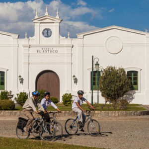 VIÑEDOS EN BICICLETA - MEDIO DÍA