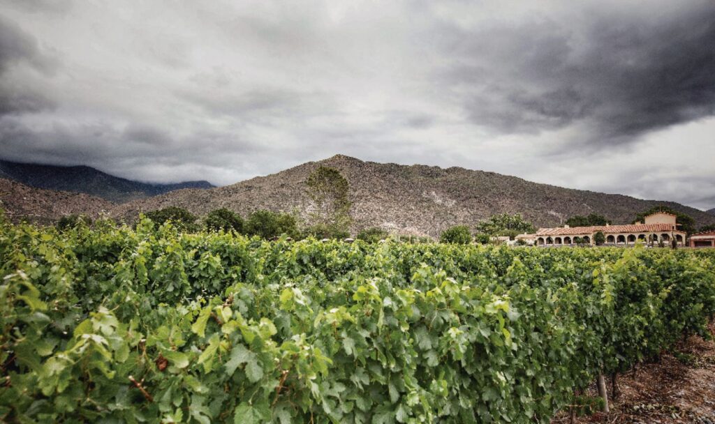 7008-bodega-colome.jpg