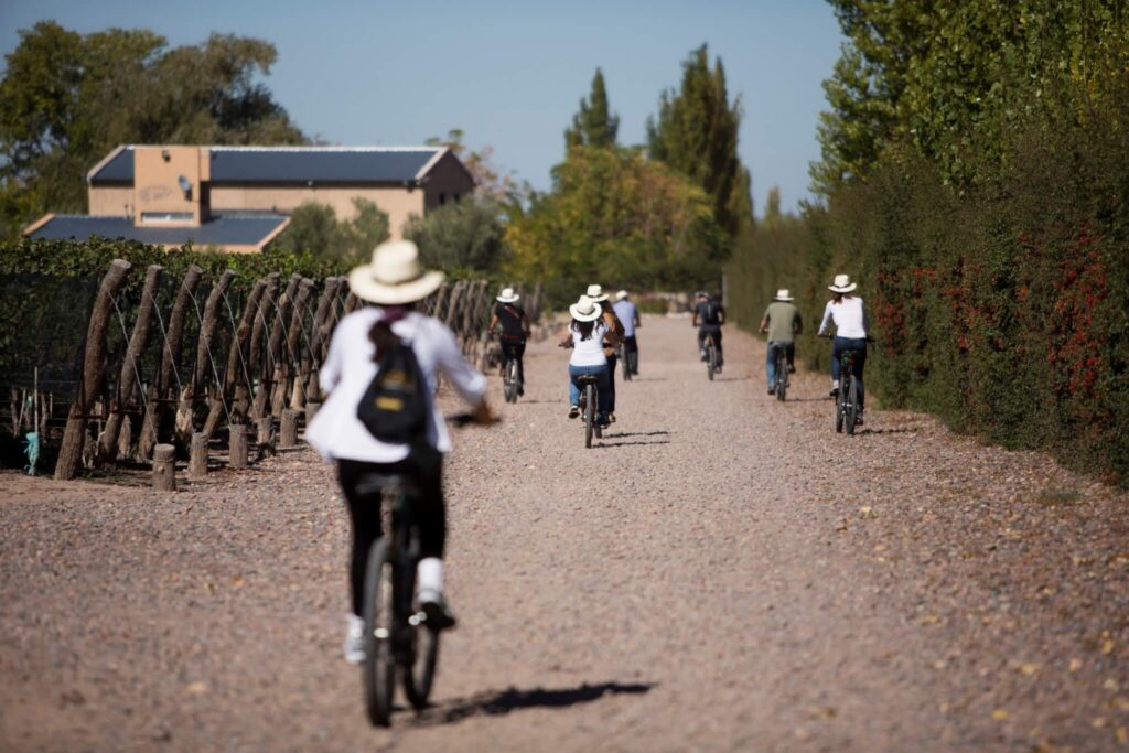 Bodega-en-bici.jpg