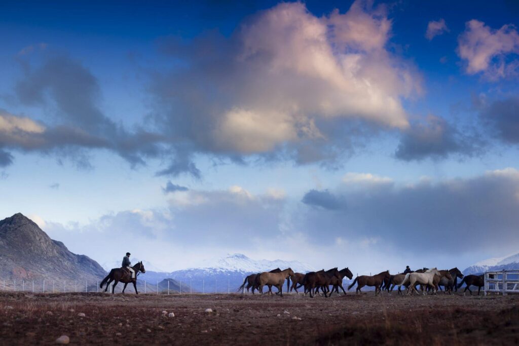 Cabalgata-8-e1566857933533.jpg