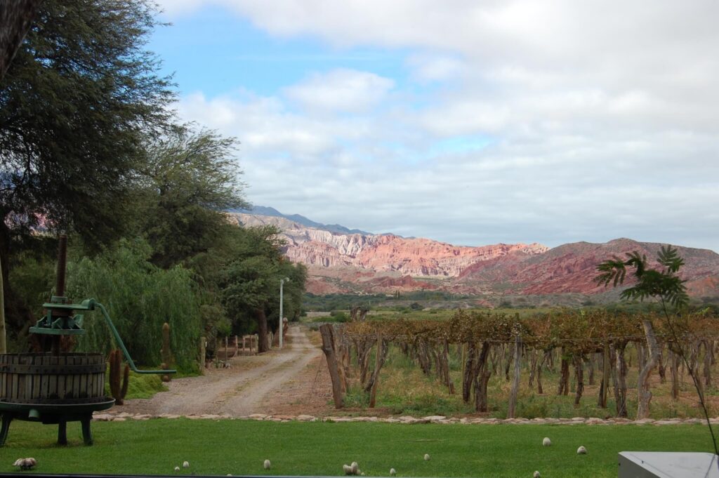 Cafayate-bodegas-2.jpg