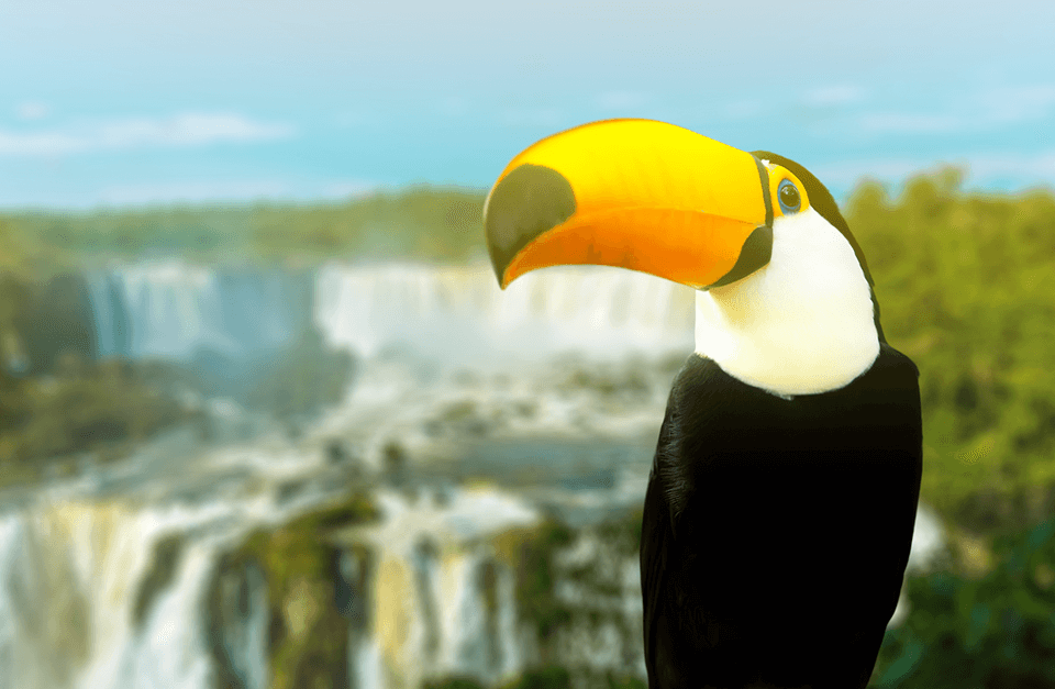 Cataratas-tour.png