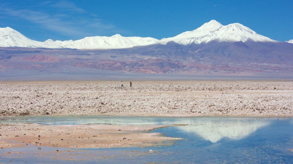 Chaxa-Lagoon-1.jpg