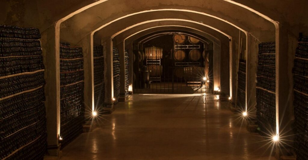 Clos-de-Chacras-presento-sus-nueva-linea-de-vinos-llamada-Memorias-de-Ida.jpg