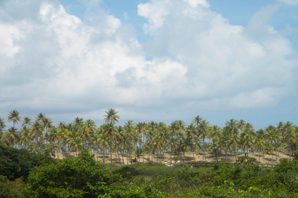 DSCN8920.jpg