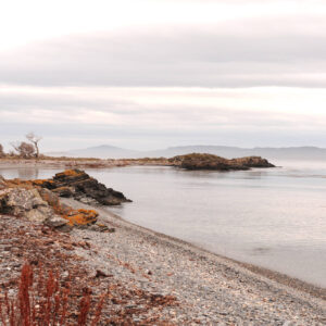 USHUAIA: ESTANCIA HARBERTON + PENGUINS + TREKK - full-day